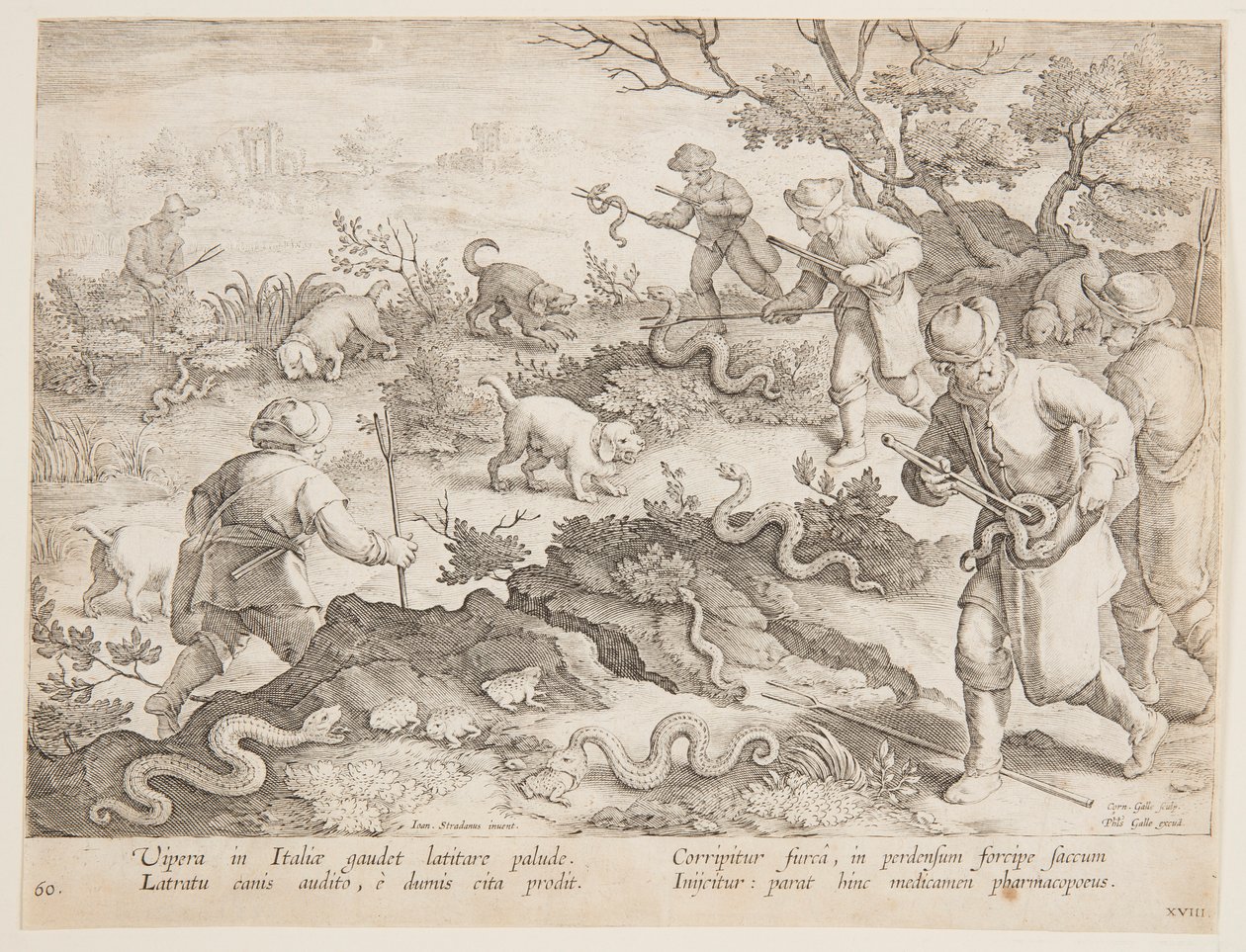 Lov hadů od after Jan van der Straet, called Stradanus