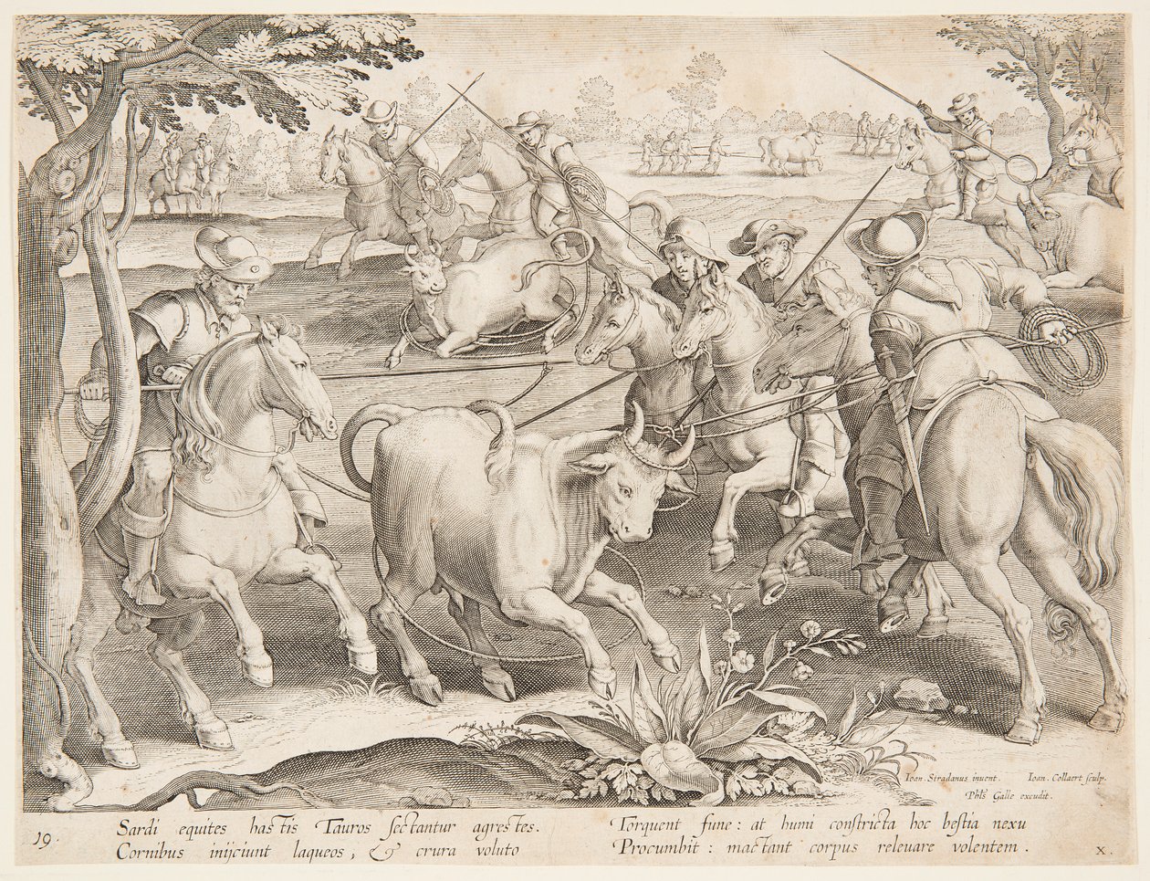 Odchyt divokých býků od after Jan van der Straet, called Stradanus