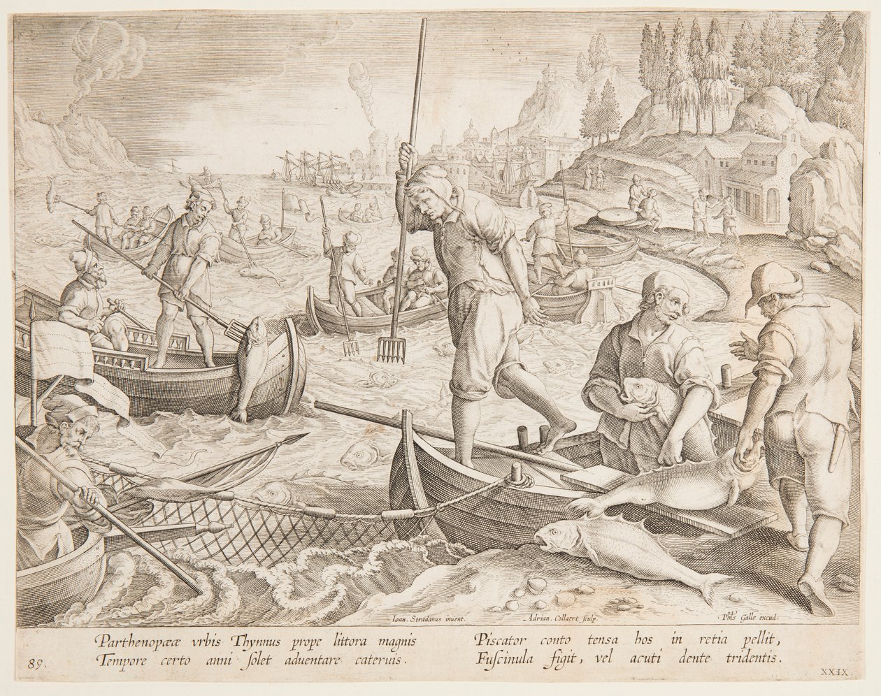 Lov tuňáků od after Jan van der Straet, called Stradanus