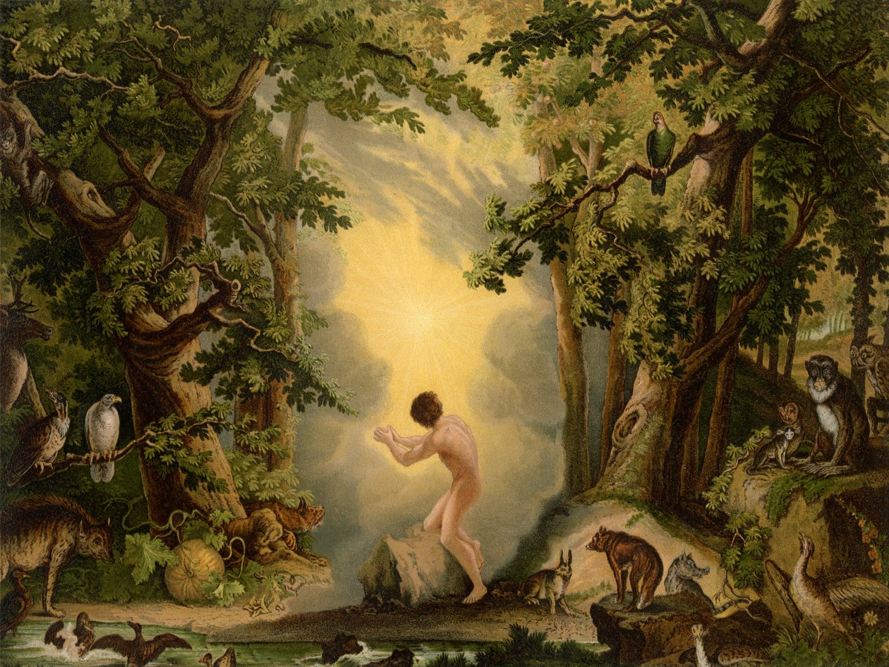 Stvoření Adama od Johann Elias Ridinger or Riedinger