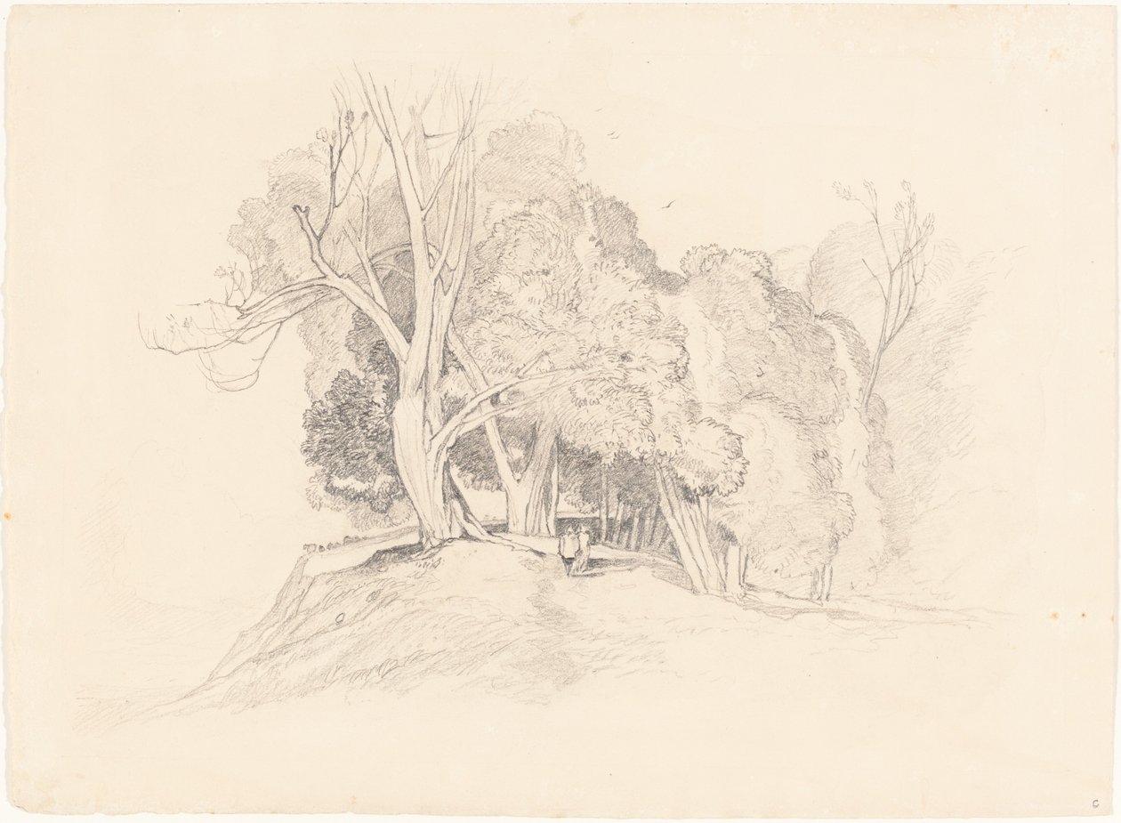 Krajina se stromy od after John Sell Cotman British 19th Century