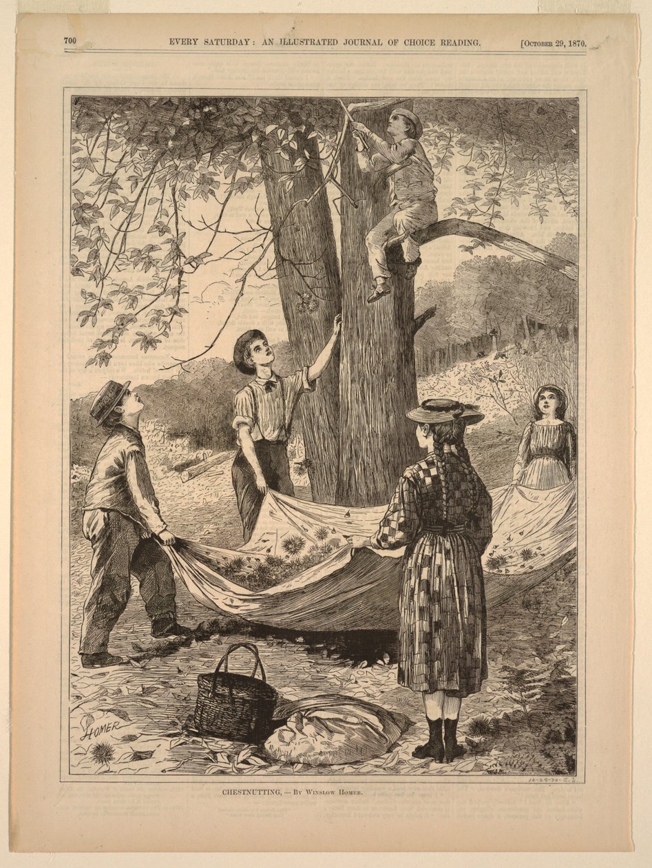 Kaštanování od after Winslow Homer