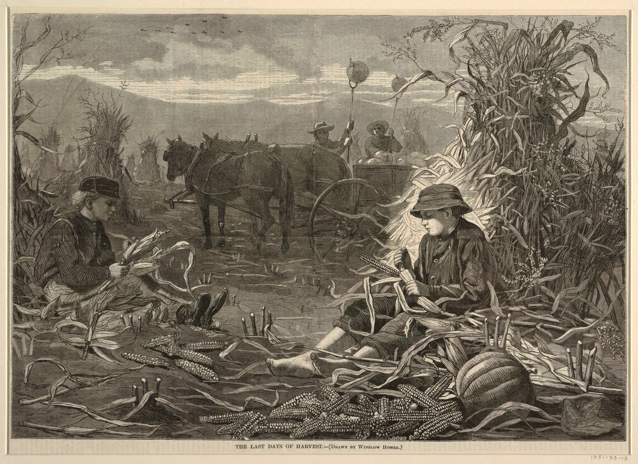 The Last Days of Harvest, z Harper