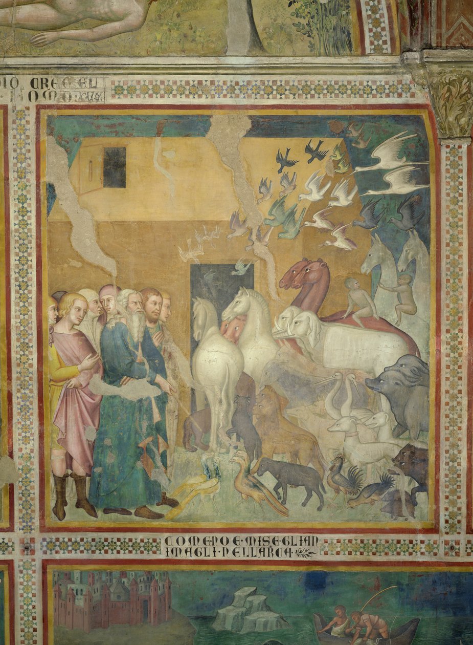 Noah Leading the Animals into the Ark, 1356-67 (viz také 59303) od also Manfredi de Battilori Bartolo di Fredi