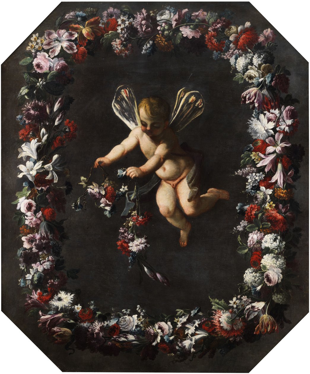 Putto s křídly vážky ve věnci květin. Olej na plátně. 191 x 161 cm od attributed to Giovanni Stanchi Dei Fiori