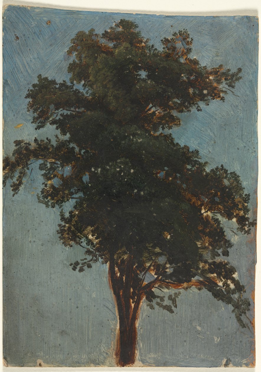 Stromová studie od attributed to Alexandre Calame