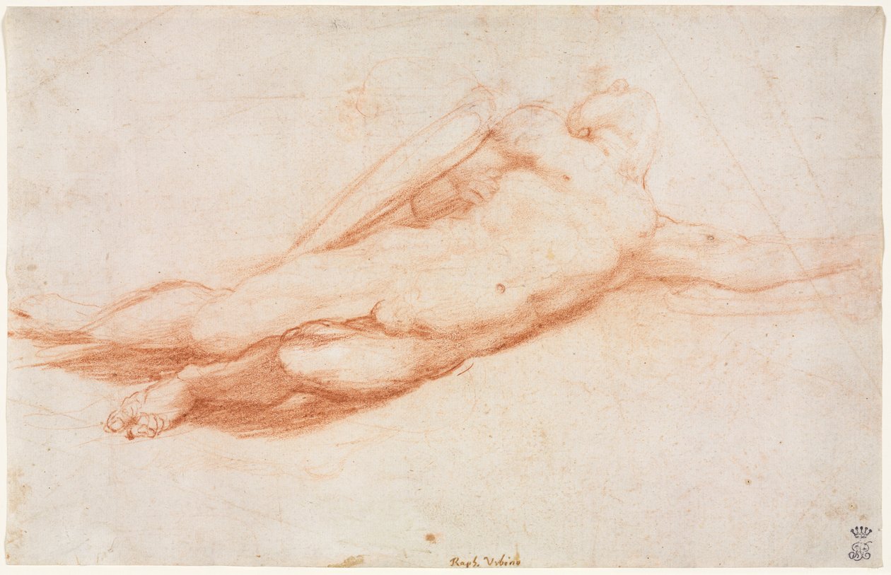 Studie padlého vojáka (možná konverze Saula) (recto) od attributed to Correggio