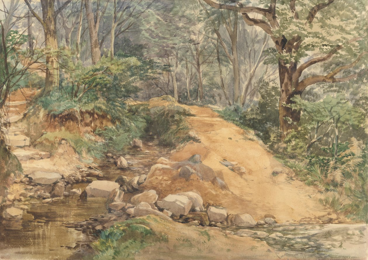 Lesní scéna s cestou přes potok od attributed to John Middleton