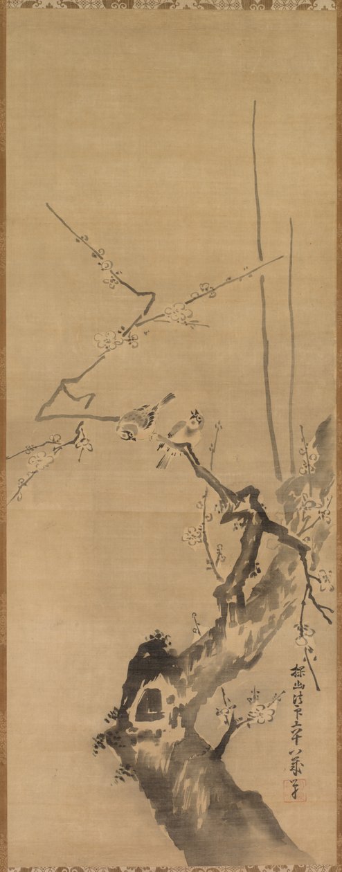 Vrabci na kvetoucí švestce od attributed to Kano Tan’yū