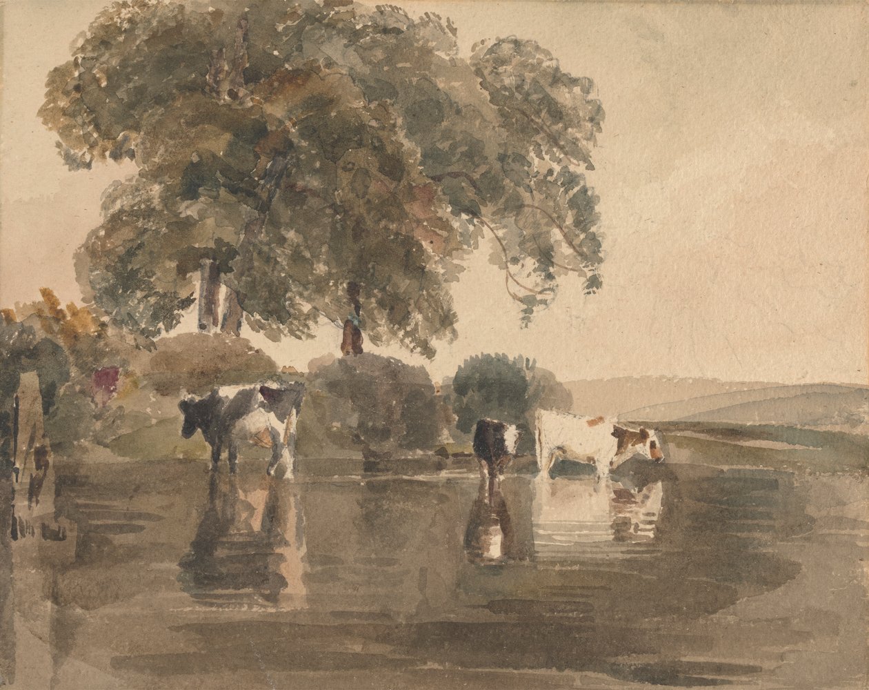 Krávy v bazénu od attributed to Peter DeWint