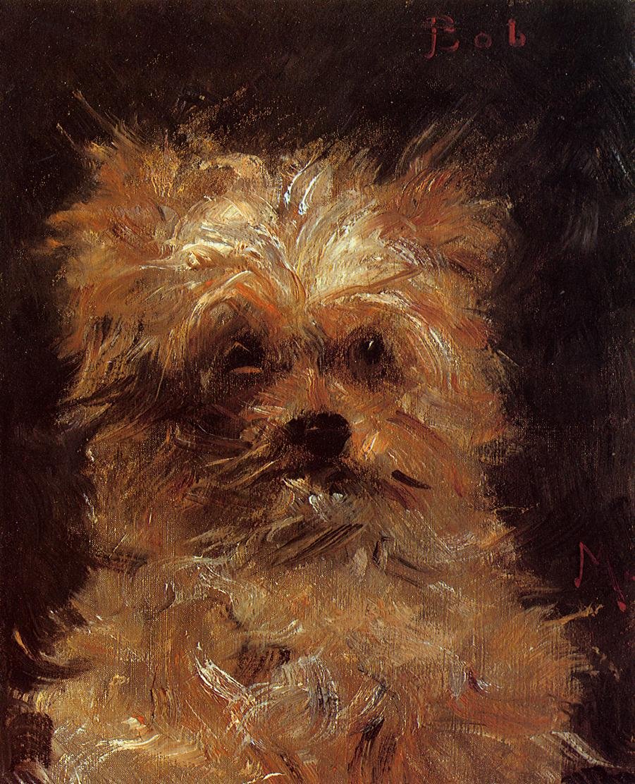 Bob, Griffonský pes od Édouard Manet