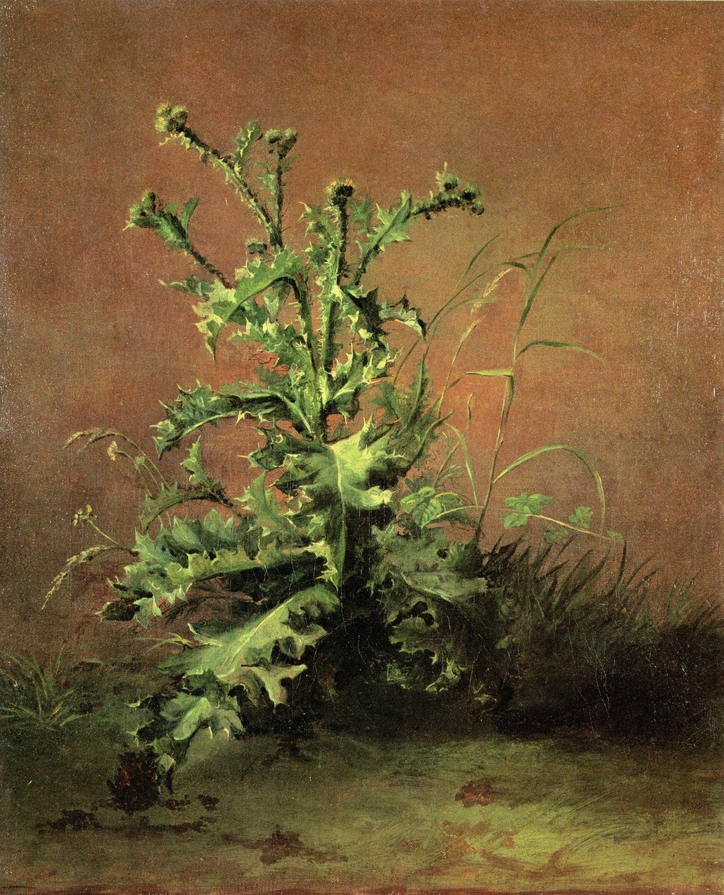 Chardons od Édouard Manet