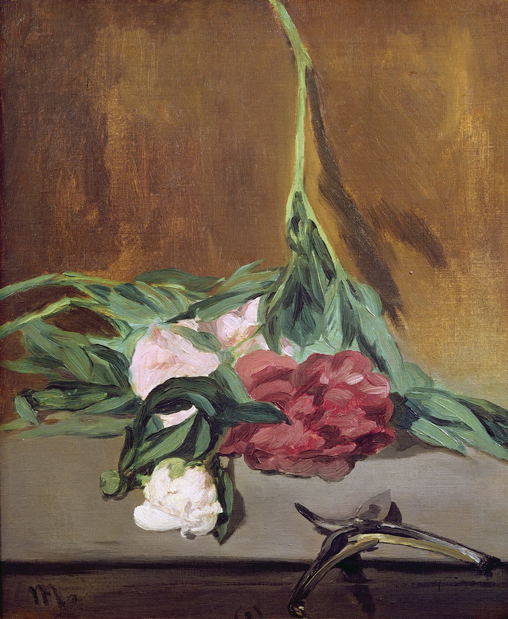 Stonek pivoněk a zahradnické nůžky, kolem roku 1864 od Édouard Manet