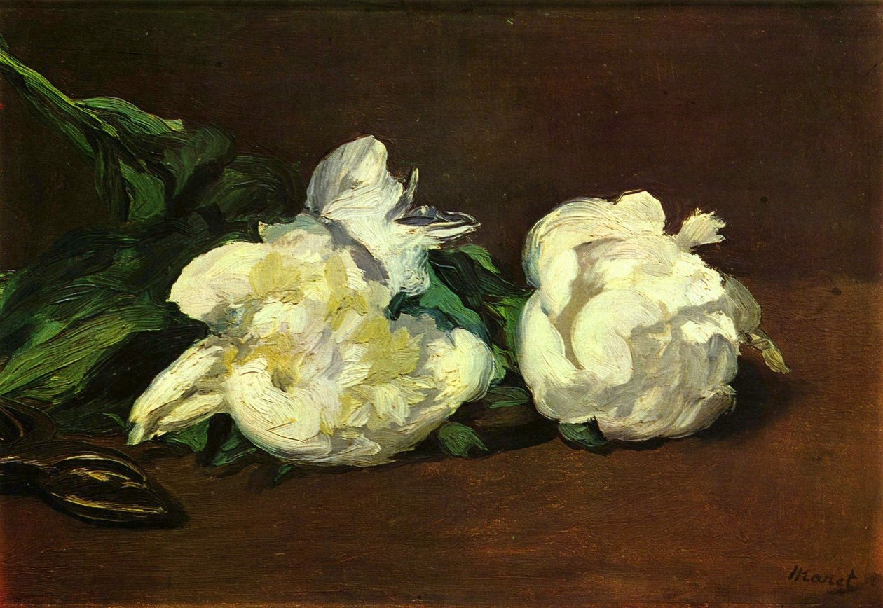 Stálý život od Édouard Manet
