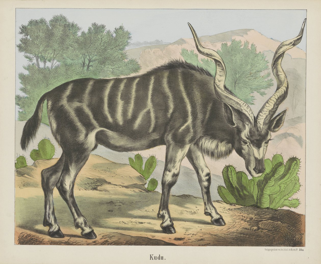 Kudu (název na objektu) od firma Joseph Scholz