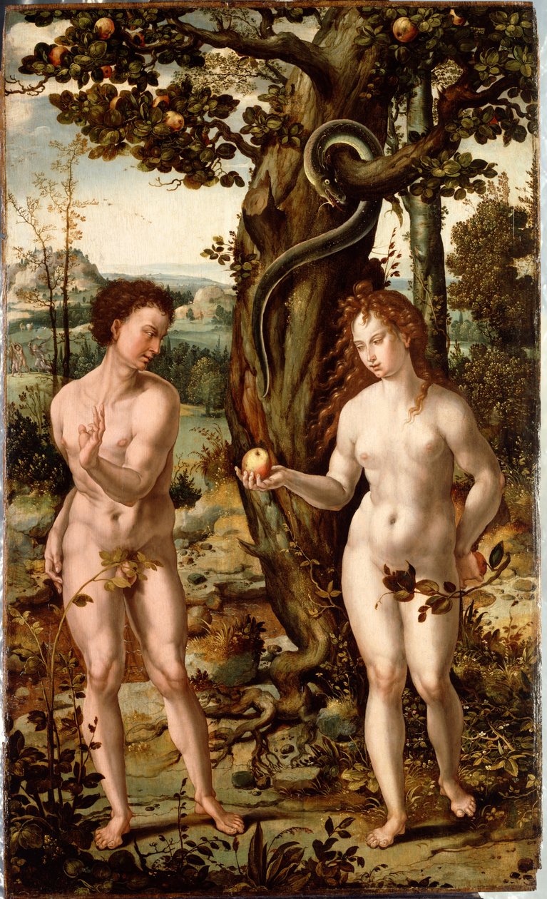 Pád člověka od follower of Pieter Coecke van Aelst