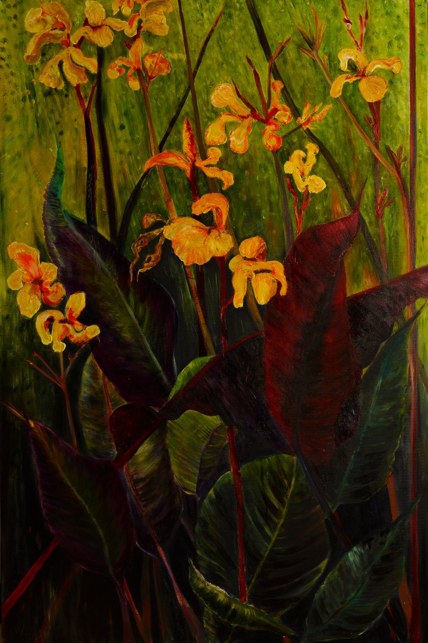Canna Lily, 2017 (olej na plátně) od jocasta shakespeare