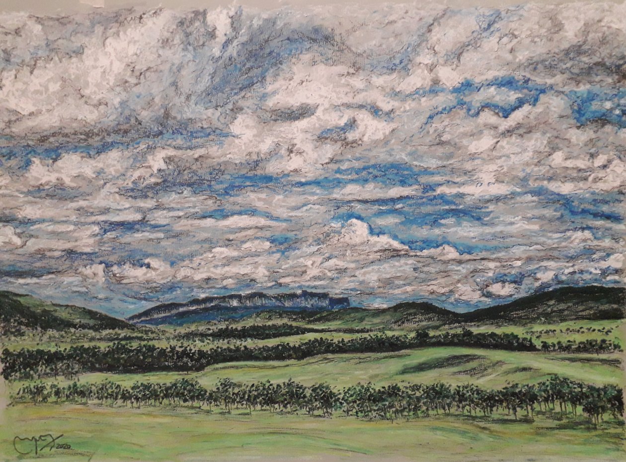 VELKÁ SAVANA VENEZUELA od miguelmendez_art.ve