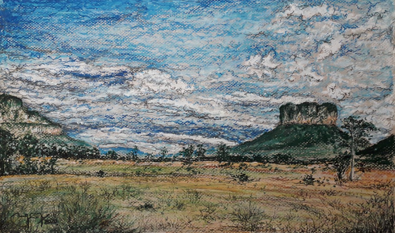 GRAN SABANA VENEZUELA od miguelmendez_art.ve