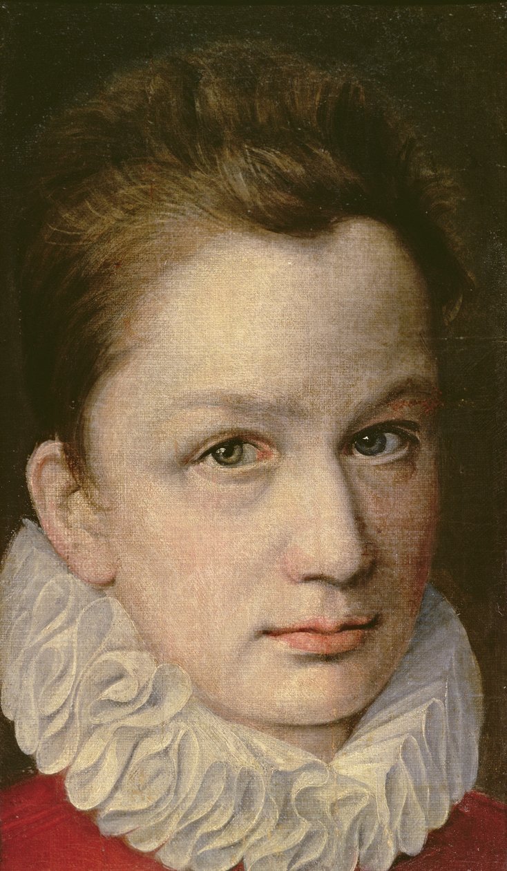 Portrét mladíka, asi 1570-75 od or Dumoustier, Pierre Dumonstier