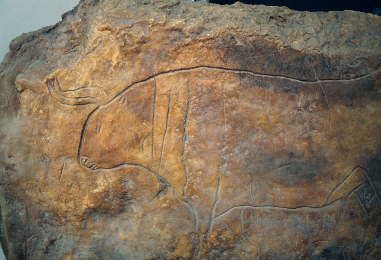 Graffito zobrazující býka. Starověká řecká civilizace, Magna Graecia od Theodore Charles Ange Coquelin