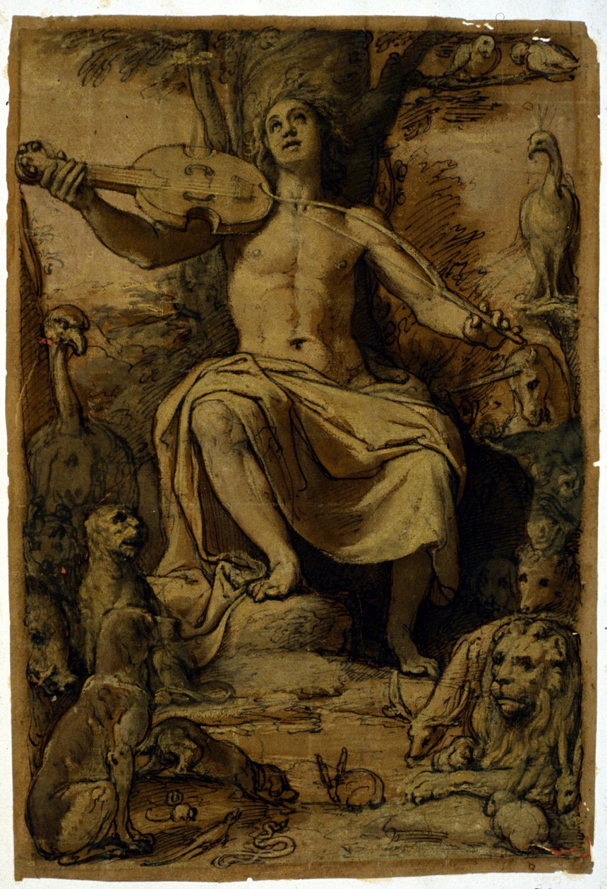 Orfeus okouzlující zvířata hudbou houslí. Kresba Federica Zuccariho (1542 - 1609). od or Zuccaro Federico Zuccari