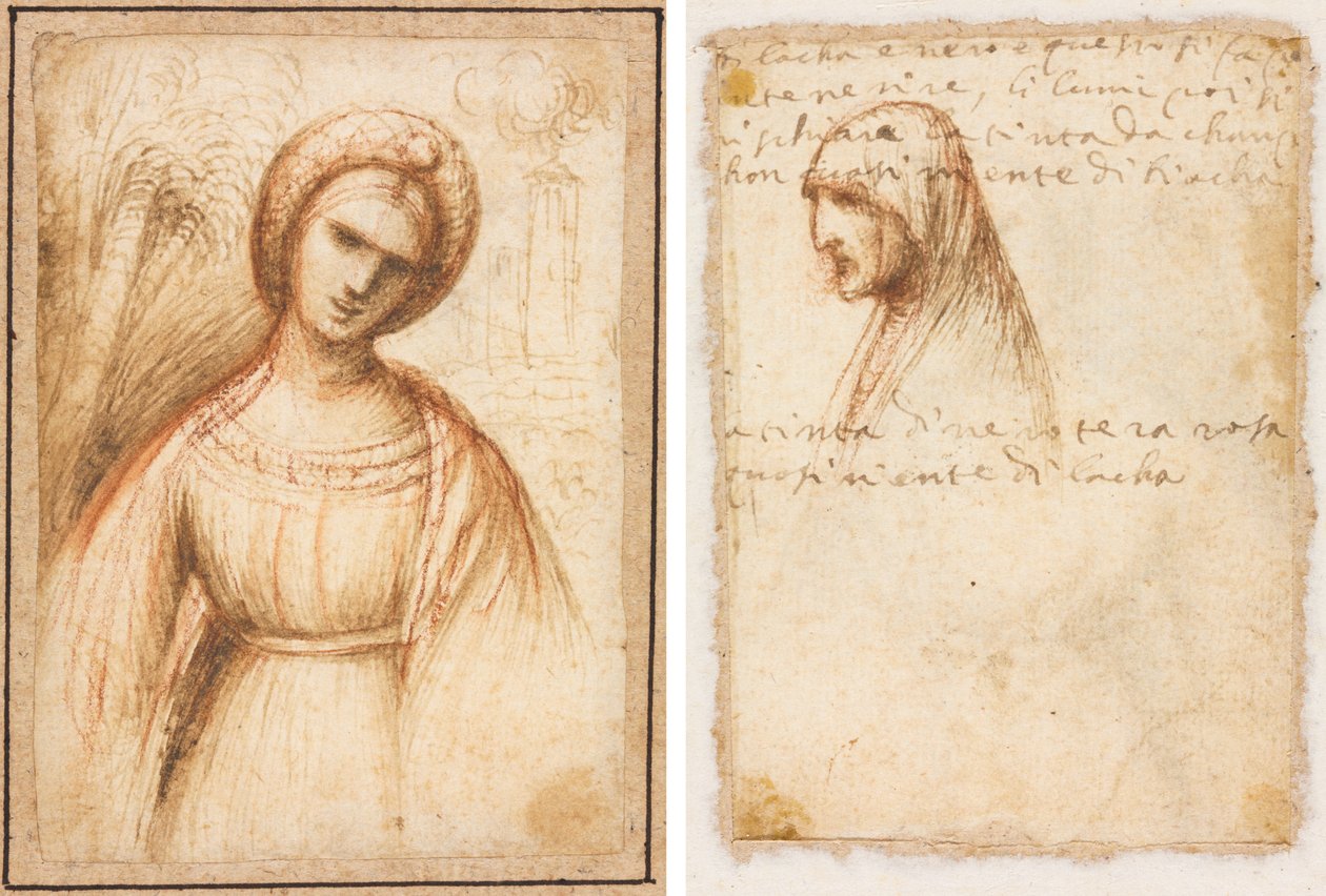 Dáma v krajině (recto); Profil staré ženy v délce poprsí (verze) od possibly by Dosso Dossi