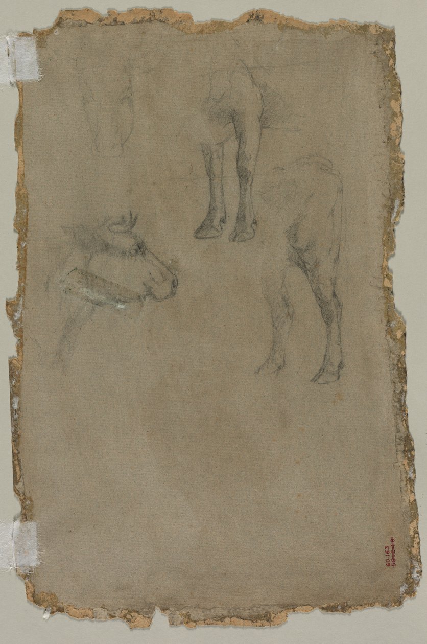 Studie býka (verze) od possibly by Johan Barthold Jongkind