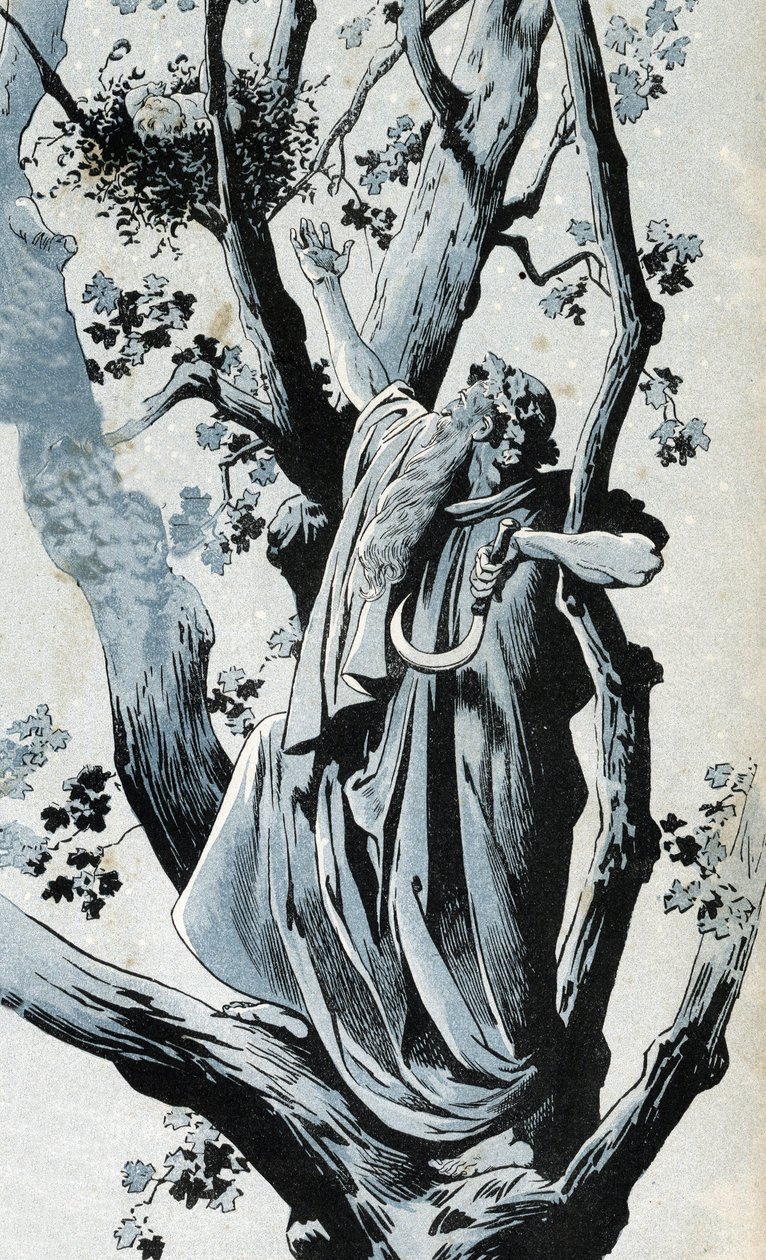 Galský druid, lezoucí do dubu, aby se svým hadem trhal jmelí, tam objeví malou dívku. ve „“ Francii, jeho příběh vyprávěný G. Montorgueilem, vyobrazený Jobem““ 1896. Soukromá sbírka. od pseudonym for Onfray de Breville Jacques Job