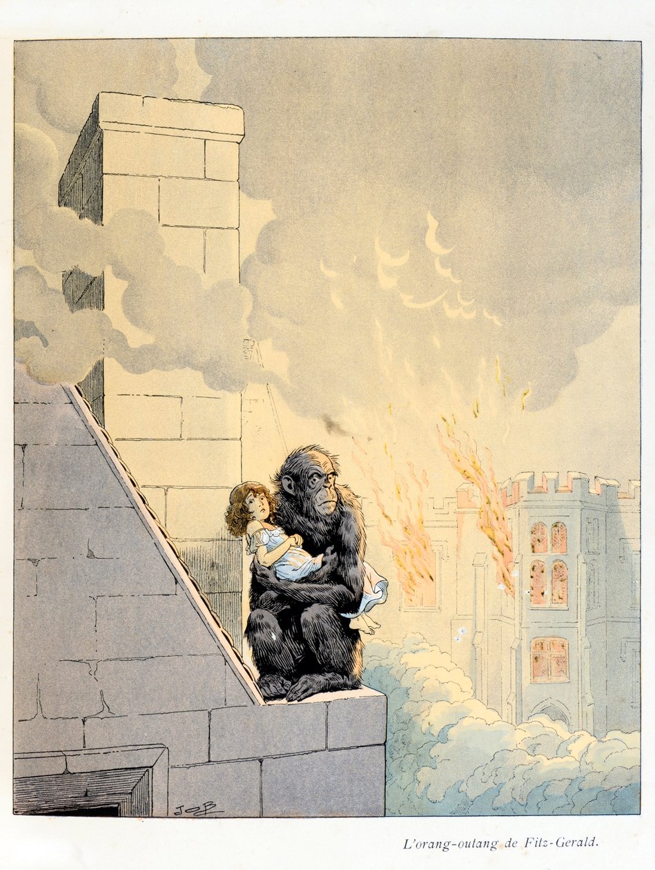 Ilustrace z knihy „A la Glory des Betes““ text od A Fabre, kresby Jacques Marie Gaston Onfray de Breville dit JOB (1858-1931), nakladatel Maison Alfred Mame a syn: L’Orang Outan od Fitz-Geralda (Fitz Gerald) (vévoda z Leicesteru, markýz z Ki od pseudonym for Onfray de Breville Jacques Job