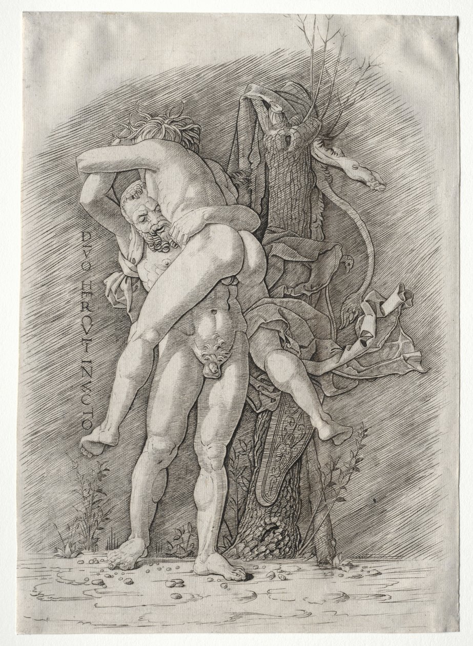 Herkules a Antaeus od school of Andrea Mantegna