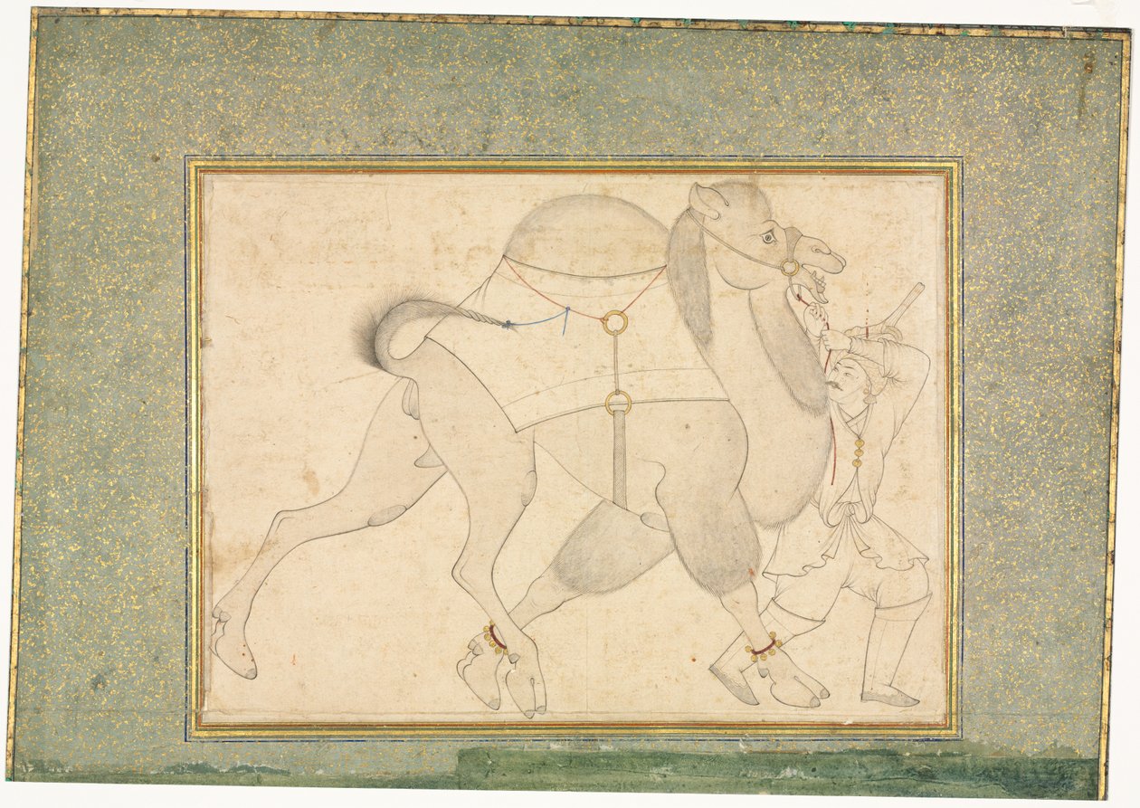 Velbloud a ženich; Jednostránkové ilustrace od style of Shaykh Muhammad