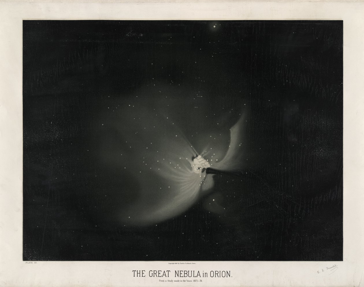 Velká mlhovina v Orionu. Ze studie z let 1875-76. (Deska XV z knihy Trouvelotovy astronomické kresby 1881-1882) od Étienne Léopold Trouvelot