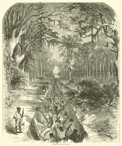 Černoši při práci na kanálu, březen 1863 (rytina)