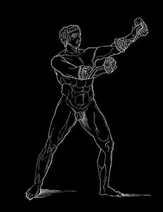 Boxer, ilustrace pro 