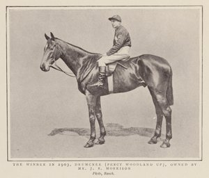 Drumcree, vítěz dostihu Grand National z roku 1903 (čb fotografie) od (after) English photographer