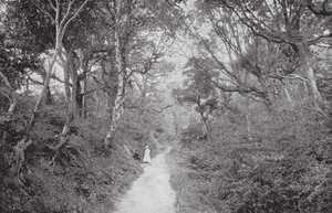 Fairlight Glen (č/b fotografie) od (after) English photographer