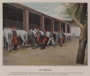 The Grooming (barevné foto) od (after) French Photographer