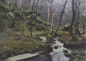 Vaux de Cernay, Les Cascades (barevné foto) od (after) French Photographer