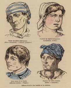 Vliv Slunce a zeměpisné polohy na člověka (kolorovaná rytina) od (after) French School