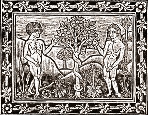 Strom, ze kterého Adam snědl jablko, faksimilie z knihy meditace, první kniha vytištěná v Albi, Languedoc, v roce 1481 od (after) French School