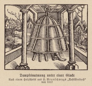 Inhalace páry pod zvonem (dřevoryt) od (after) German School
