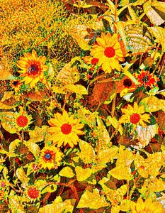 Slunečnice pro Van Gogha. od Margareta Uliarte