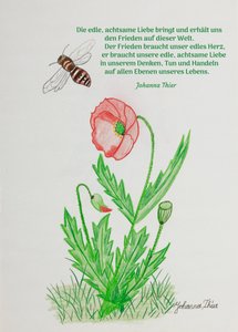 Obraz ušlechtilé, pozorné lásky od Johanna Thier