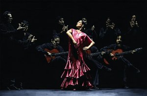 Hrdá tanečnice flamenca