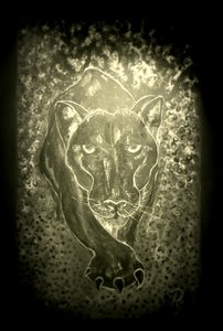 Panter - šedý od RosaLi