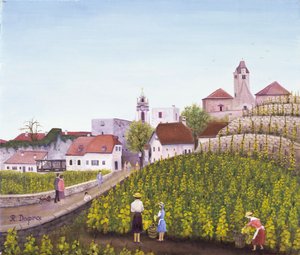Sklizeň hroznů v Dürnsteinu