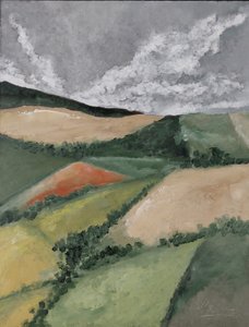 Živé ploty mezi poli od M. Vet