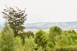 Olejomalba – přírodní krajina od Albert Mansour