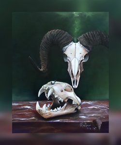 Memento mori (Studie zvířecích lebek)